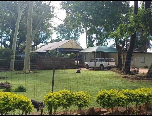 FARM FOR SALE IN LEVUBU